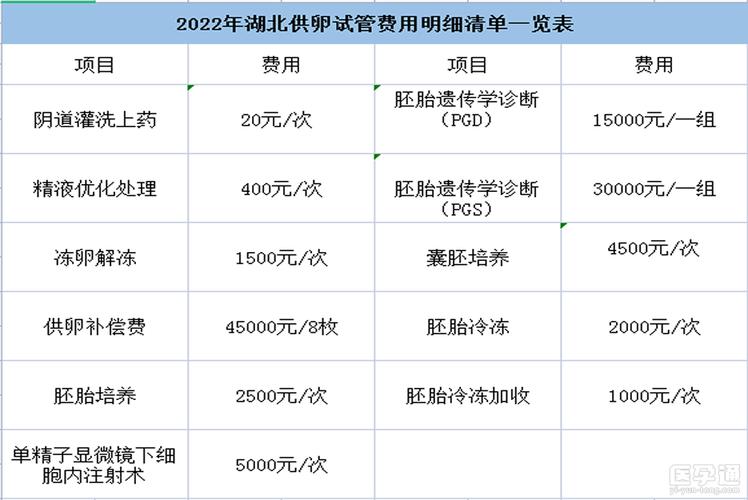 包成功试管代怀孩子要多少费用(试管代怀孩子费用一览)