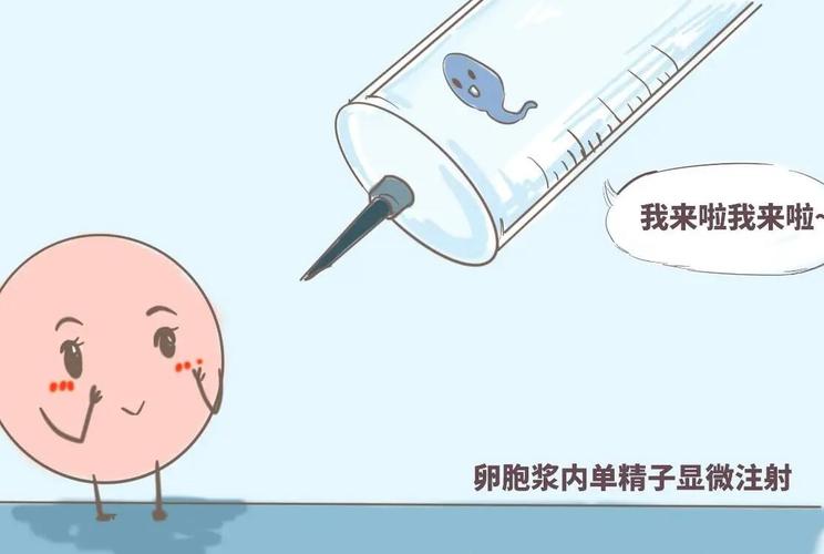 代怀代生机构哪家正规【选择正规代怀代生机构,哪家更靠谱?】