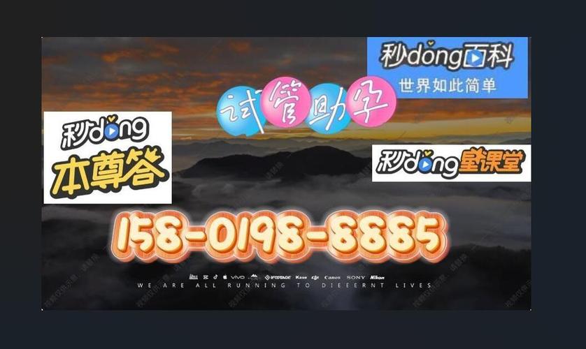 代生代怀公司-代生代怀公司:传承与创新